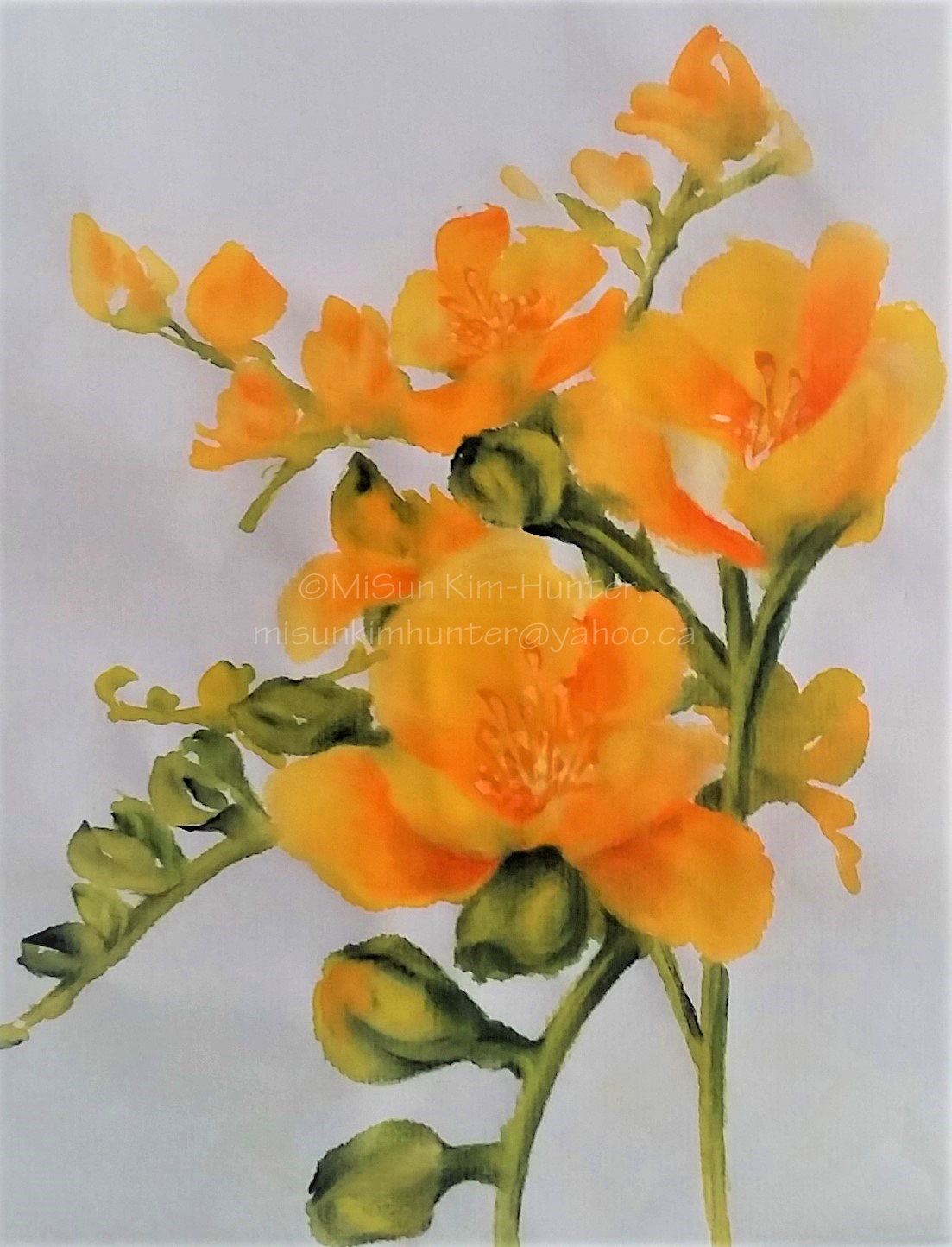 9x11 freesia1